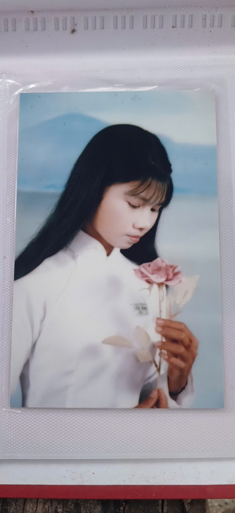 Bạn Hoàng Hoa lớp 12/2